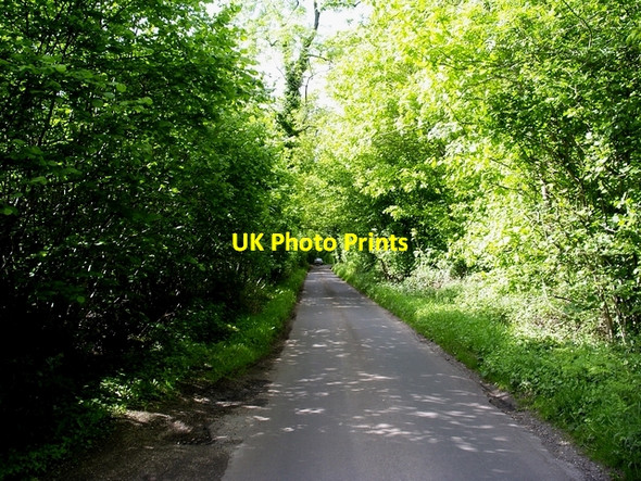 Photo 6"x4" Furzedown Road Furzedown\/SU3629 c2006