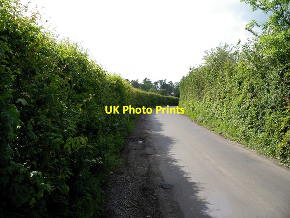 Photo 6"x4" Furzedown Road Furzedown\/SU3629 c2006