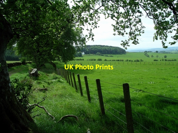 Photo 6"x4" Fields near Burnswark Hill Castlemilk\/NY1577 c2006