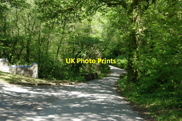 Photo 6"x4" Bridge near Rowse Polborder c2006