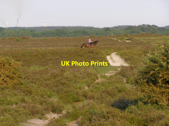Photo 6"x4" Horse and rider on Yew Tree Heath, New Forest Applemore c2006