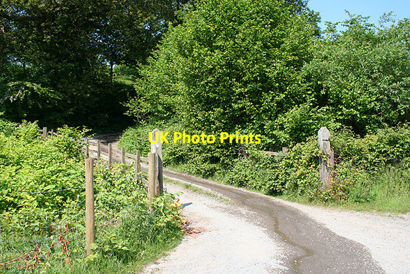 Photo 6"x4" Dunvant: lane to Bevexe-fawr Dunvant c2006