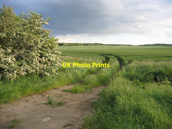 Photo 6"x4" Farmland from Chapel End Road, Houghton Conquest, Beds Chapel End\/TL0542 c2006