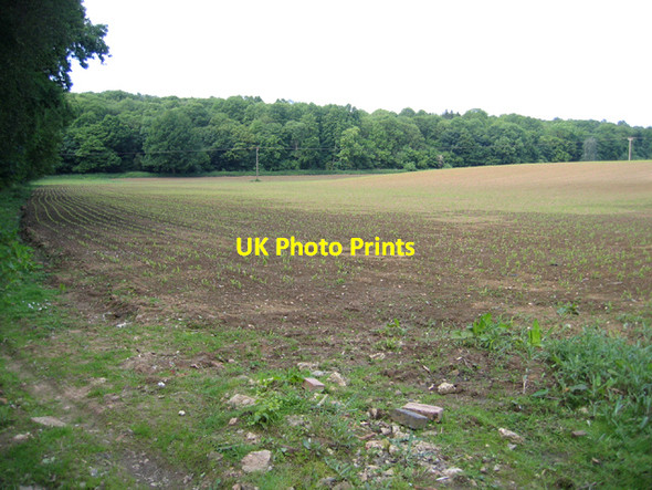 Photo 6"x4" Warren Lane, Clophill, Beds Clophill c2006