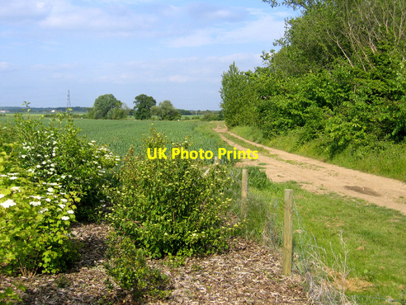Photo 6"x4" Footpath east of Biggleswade, Beds Biggleswade c2006