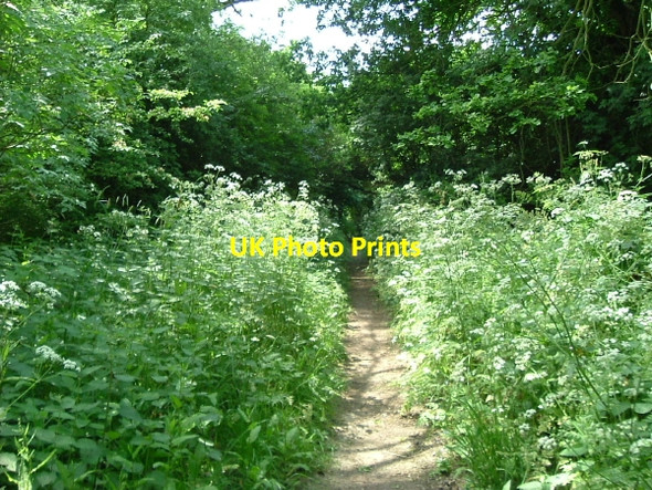 Photo 6"x4" Teversal Trails Fackley c2006
