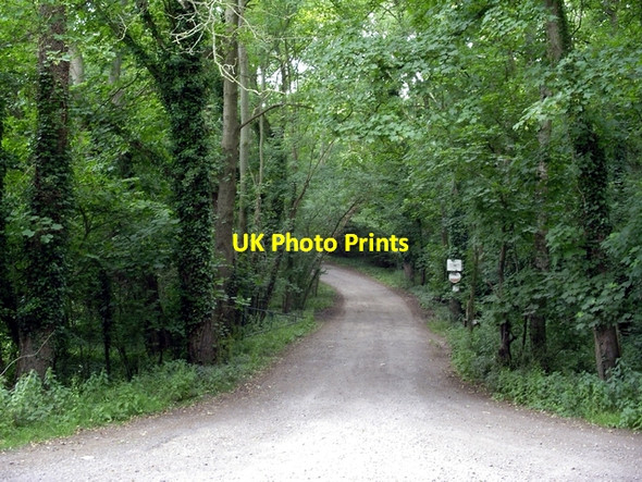 Photo 6"x4" No entry - track in Prior's Copse Gree c2006