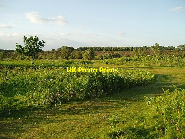 Photo 6"x4" Westleton Heath Westleton c2006