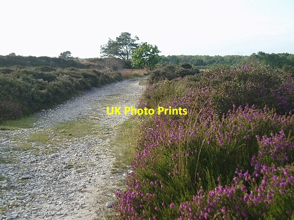 Photo 6"x4" Footpath on Dunwich Heath Dunwich c2006