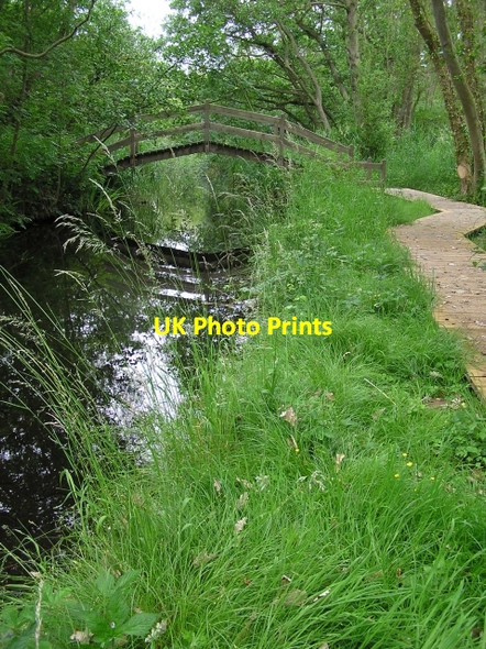 Photo 6"x4" Bridge, How Hill How Hill\/TG3719 c2006