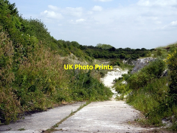 Photo 6"x4" Disused Chalk quarry south of East Grimstead East Grimstead c2006