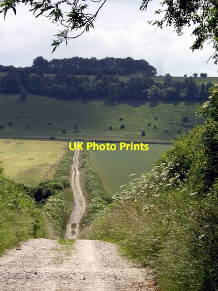 Photo 6"x4" Track south of East Grimstead East Grimstead c2006