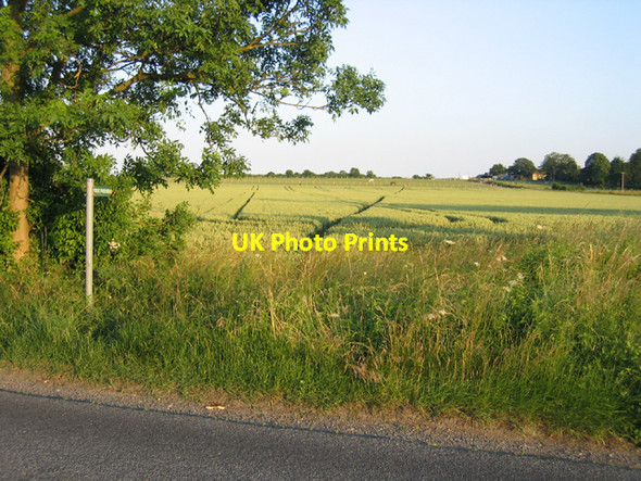 Photo 6"x4" Footpath through winter wheat, Shillington, Beds Bury End\/TL1234 c2006