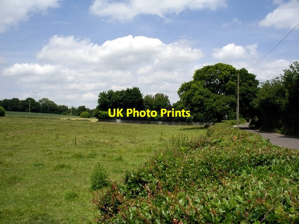 Photo 6"x4" Looking north by Livery Road Farley\/SU2229 c2006