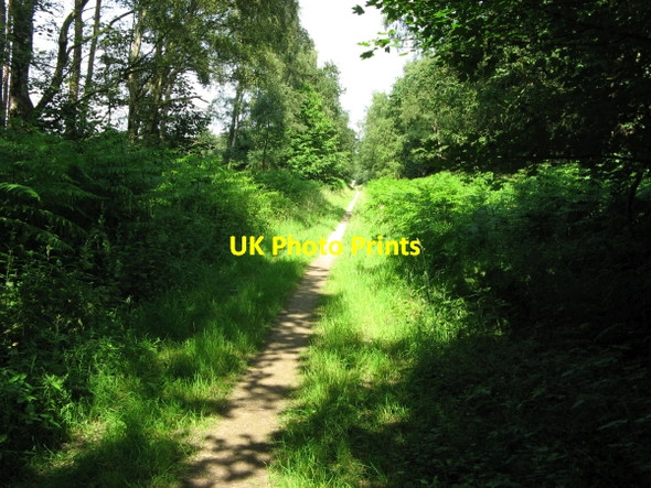 Photo 6"x4" Footpath heading north east from Hazel Gap Budby c2006