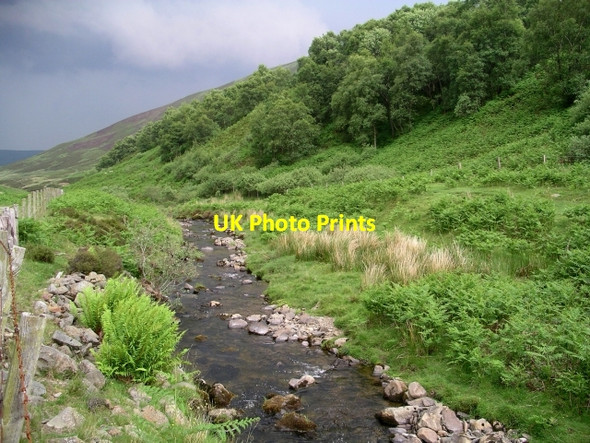 Photo 6"x4" Kirkstead burn Cappercleuch c2006