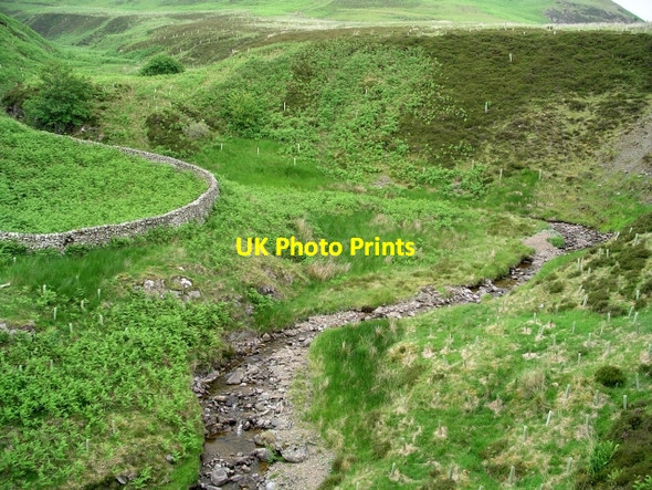 Photo 6"x4" Dryhope Burn Dryhope c2006