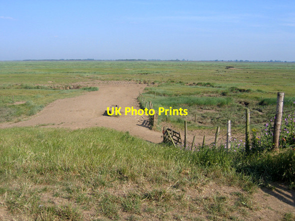 Photo 6"x4" Saltmarsh, Kirton Marsh, Lincs Bucklegate c2006