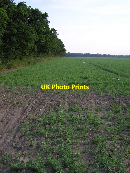 Photo 6"x4" Farmland, near Hickling Hickling Heath c2006