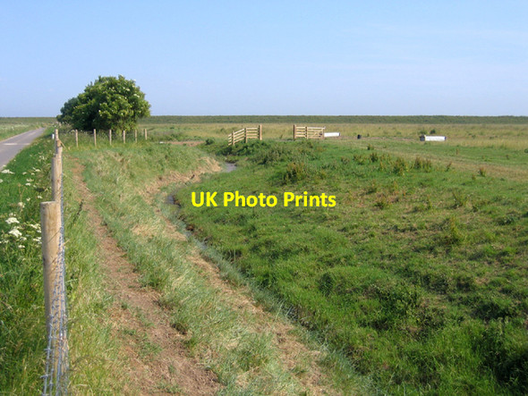 Photo 6"x4" Abandoned farmland, Frampton Marsh, Lincs Sandholme\/TF3337 c2006
