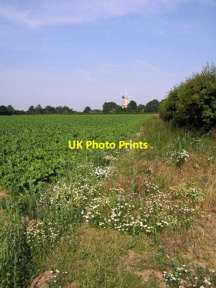 Photo 6"x4" Sutton Mill Hickling Green c2006