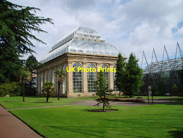 Photo 6"x4" The Palm House, Royal Botanic Garden Inverleith c2006