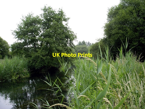 Photo 6"x4" River Itchen at Winnall Moors Winchester c2006