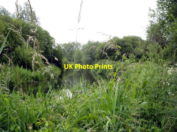 Photo 6"x4" River Itchen at Winnall Moors Winchester c2006