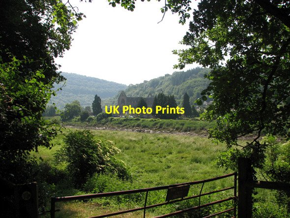 Photo 6"x4" Tintern Abbey from the Gloucestershire bank Chapel Hill\/SO5200 c2006