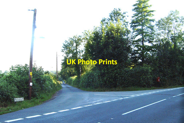 Photo 6"x4" Miss Grace's Lane Tidenham Chase c2006