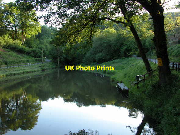 Photo 6"x4" Evening at the Pond by Tintern Cross The Cot c2005