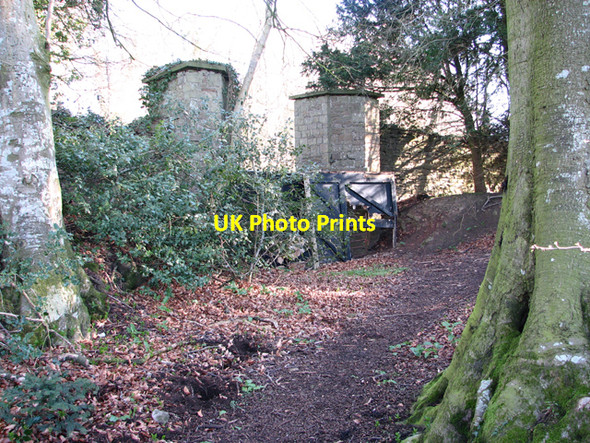 Photo 6"x4" The Footpath at Temple Doors, Chepstow St Arvans c2006