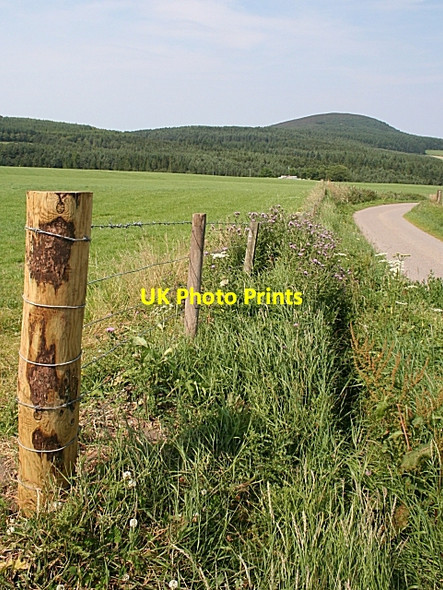 Photo 6"x4" Bin Hill from Badenhannen Kirktown of Deskford c2006