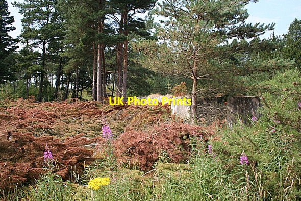 Photo 6"x4" Tank Traps Windyridge\/NJ2367 c2006