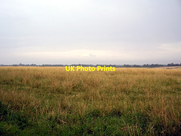 Photo 6"x4" Cereal crop in field east of Stoke Stoke\/SU4051 c2006