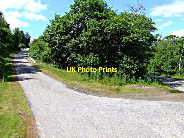 Photo 6"x4" The Road to Little Torboll Little Torboll c2006