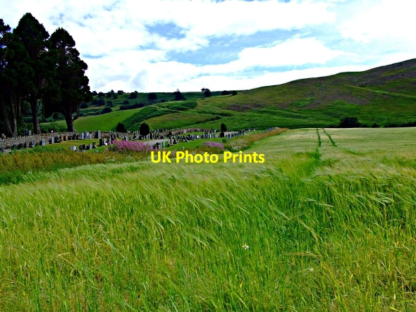 Photo 6"x4" Fodderty Cemetery Fodderty c2006