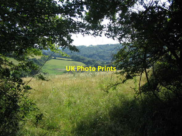 Photo 6"x4" Honeybrook Farm Slaughterford c2006