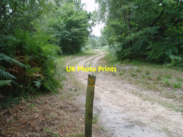 Photo 6"x4" Weald Way marker Duddleswell c2006