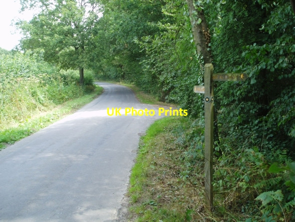 Photo 6"x4" Weald Way at Fairwarp Fairwarp c2006