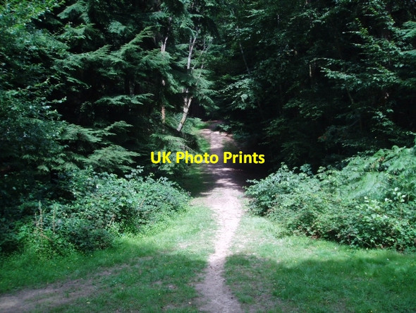 Photo 6"x4" Weald Way Fairwarp c2006