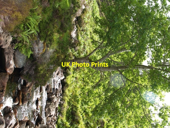 Photo 6"x4" Allt a'Char Blarnalearoch c2006