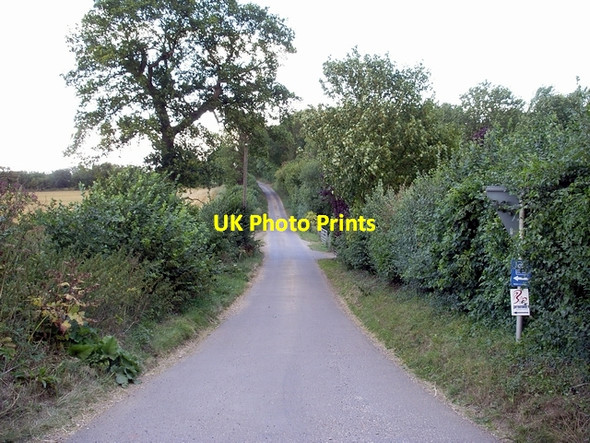 Photo 6"x4" Lane to Laverstoke Grange Farm Laverstoke c2006