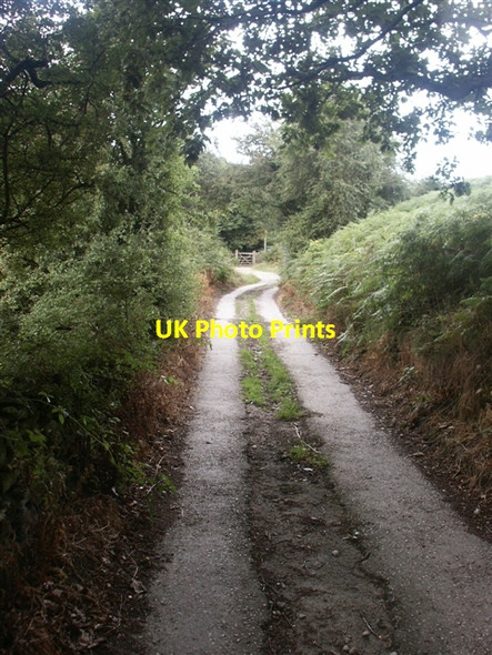 Photo 6"x4" Pennine Bridleway, Birch Vale Cliff\/SK0287 c2006