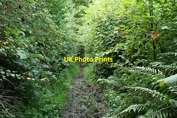Photo 6"x4" Otterford: near Royston Water Royston Water c2006