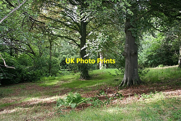 Photo 6"x4" Mayne Wood Elgin c2006
