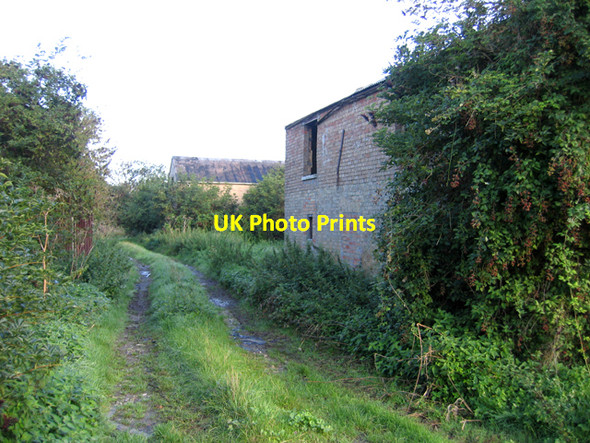 Photo 6"x4" Vipans Farm, Haddenham, Cambs Aldreth c2006