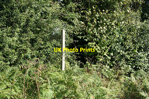 Photo 6"x4" Buckland St Mary: footpath to Higher Beetham Beetham\/ST2712 c2006