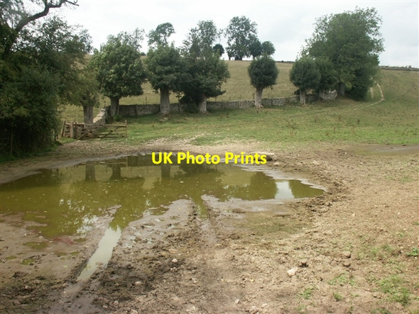 Photo 6"x4" Oak pollards near Winson Winson\/SP0908 c2006