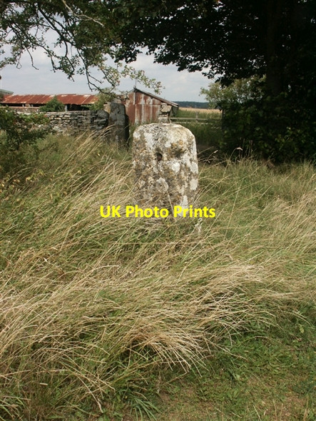 Photo 6"x4" Gatepost, Saltway Barn Ablington\/SP1007 c2006